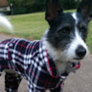 Meet your Posher, Aubrey